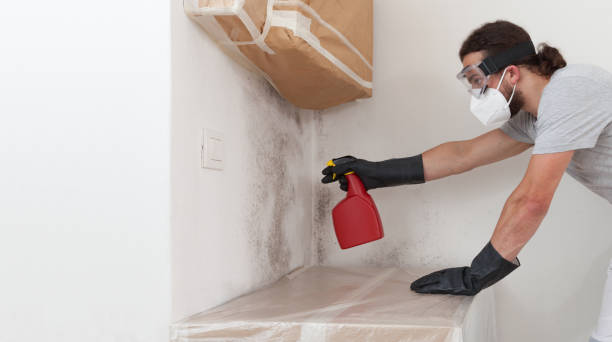 Professional Bathroom Mold Removal technician working in Kings Park, VA